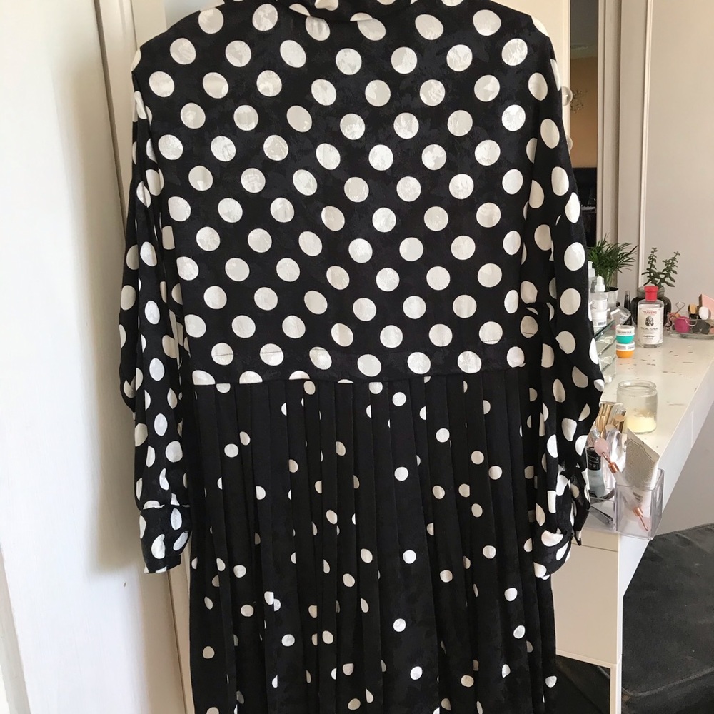 Beautiful Zara dress
